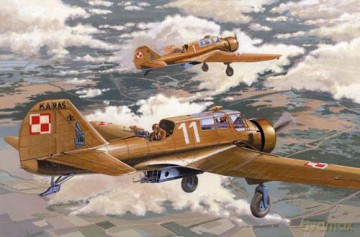 MIRAGE PZL23A "Karas" early version 481303 [MODELARSTWO]