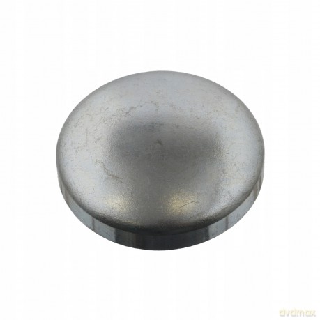 SWAG 30 93 1794 Uszczelnienie przeciwmrozowe Audi Skoda VW Seat