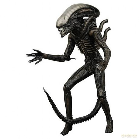 NECA Action Figure Aliens 9 inch AF 51410 [FIGURKA]