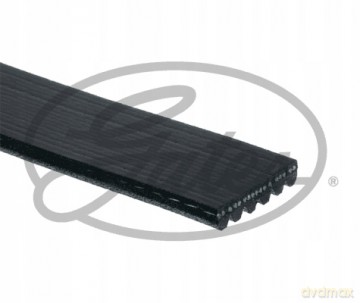 Gates 6PK803 Pasek klinowy wielorowkowy Opel Peugeot Fiat Citroen Ford