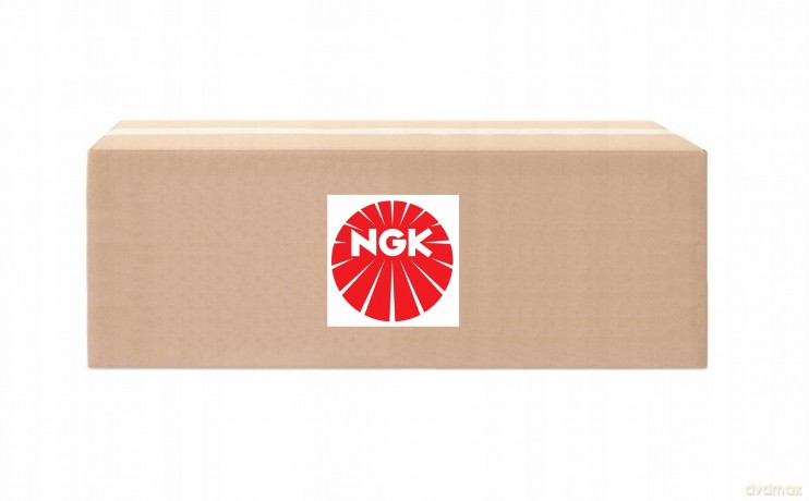 NGK 81066 Czujnik, pozycja wałka rozrządu Audi Fiat Skoda Seat Ford Chrysler Kia