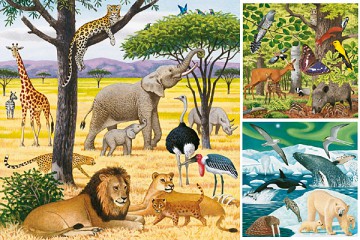 RAVENSBURGER 3X49 El. ZWIERZĘTA ŚWIATA 93878 [PUZZLE]