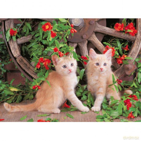 RAVENSBURGER 100 El. Kocie Piękności 106080 [PUZZLE]