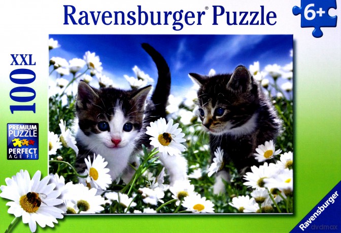 RAVENSBURGER 100 el. Kotki i Stokrotki 106127 [PUZZLE]