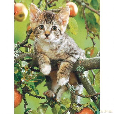 RAVENSBURGER 200 El. Kotek na drzewie 127535 [PUZZLE]