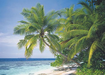 RAVENSBURGER 1500 El. MALEDIWY 162451 [PUZZLE]