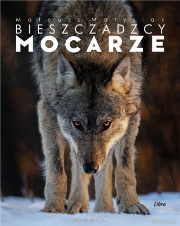 Album Bieszczadzcy mocarze - Mateusz Matysiak [KSIĄŻKA]