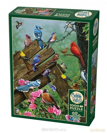 COBBLE HILL 1000 el. Ptaki leśne [PUZZLE]