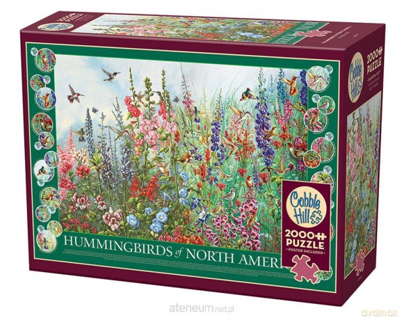 COBBLE HILL 2000 el. Kolibry z Ameryki Północnej [PUZZLE]