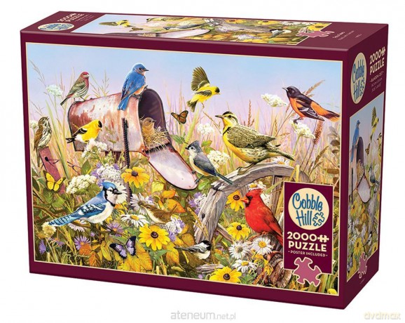 COBBLE HILL 2000 el. Śpiew ptaków polnych [PUZZLE]
