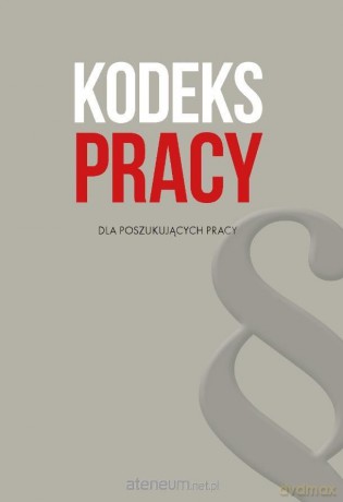Kodeks pracy dla poszukujących pracy [KSIĄŻKA]