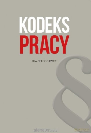 Kodeks pracy dla pracodawcy [KSIĄŻKA]