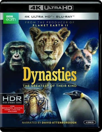 Dynasties (Dynastie) [2xBlu-Ray 4K]+[2xBlu-Ray]