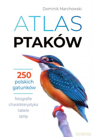 Atlas ptaków - Dominik Marchowski [KSIĄŻKA]