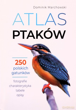 Atlas ptaków - Dominik Marchowski [KSIĄŻKA]