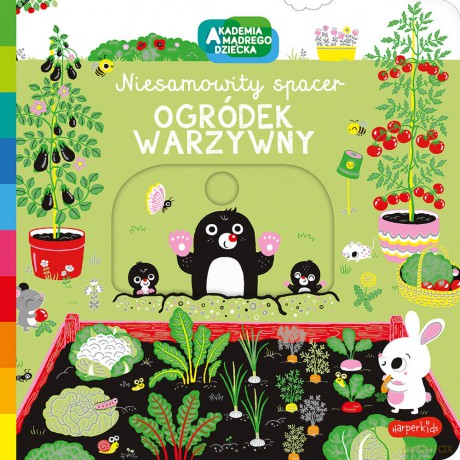 Ogródek warzywny. Akademia mądrego dziecka. Niesamowity spacer [KSIĄŻKA]