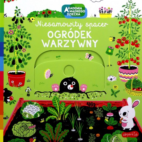 Ogródek warzywny. Akademia mądrego dziecka. Niesamowity spacer [KSIĄŻKA]