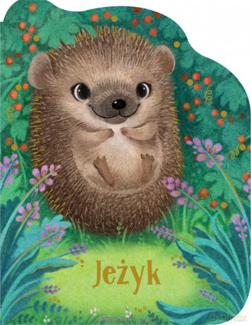 Jeżyk - Rosalee Wren [KSIĄŻKA]