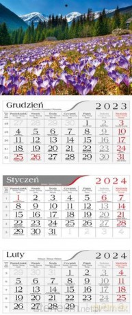 Kalendarz 2024 Trójdzielny Krokusy [KALENDARZ]