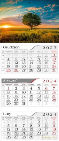 Kalendarz 2024 Trójdzielny Polne drzewo [KALENDARZ]