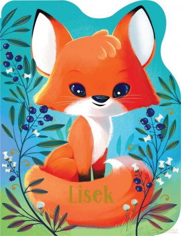 Lisek - Rosalee Wren [KSIĄŻKA]