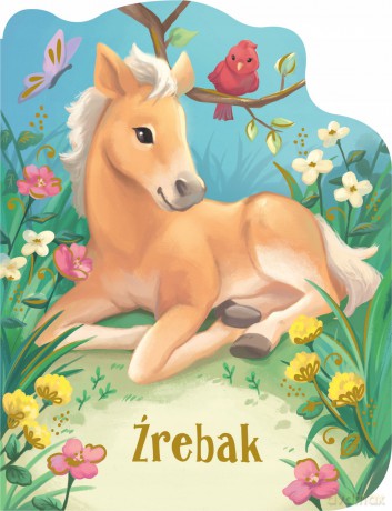 Źrebak - Rosalee Wren [KSIĄŻKA]