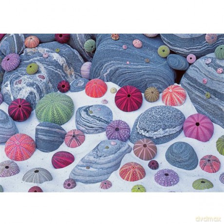 RAVENSBURGER 1000 El. Kolorowe muszelki 190454 [PUZZLE]