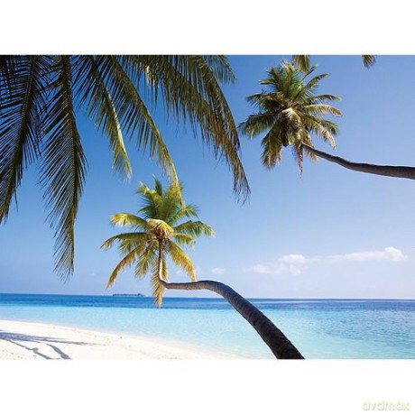 RAVENSBURGER 500 El. PLAŻA I PALMY 141845 [PUZZLE]