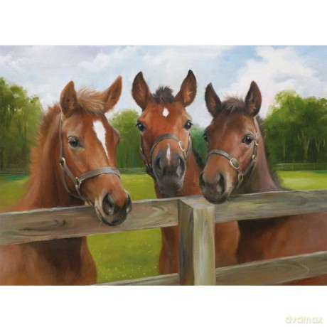 RAVENSBURGER 500 El. Rodzinne spotkanie 145669 [PUZZLE]