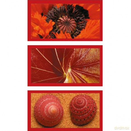 RAVENSBURGER 3X500 El. Impresja 162840 [PUZZLE]