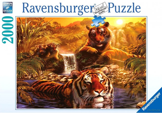 RAVENSBURGER 2000 el. Kąpiel Tygrysów [PUZZLE]