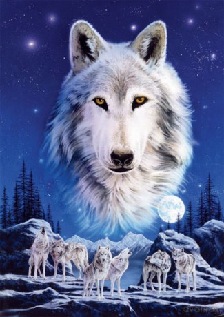 RAVENSBURGER 1500 El. NOC BIAŁYCH WILKÓW 162505 [PUZZLE]