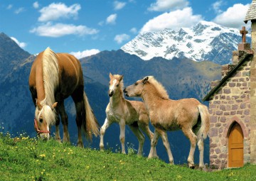 RAVENSBURGER 1500 El. KONIE HAFLINGER 163519 [PUZZLE]
