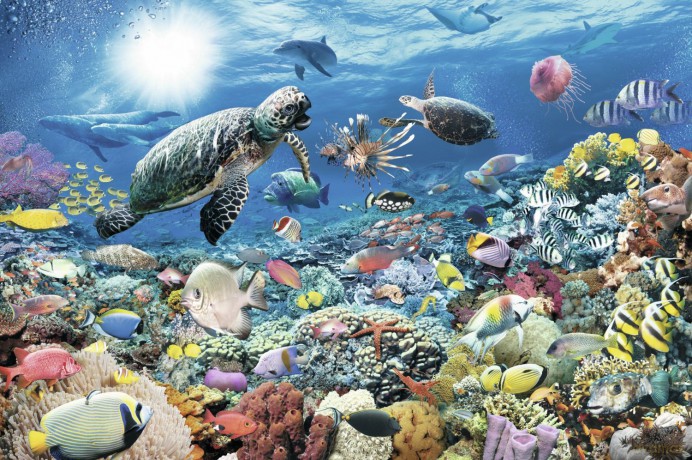RAVENSBURGER 5000 el. Głębia Oceanu [PUZZLE]