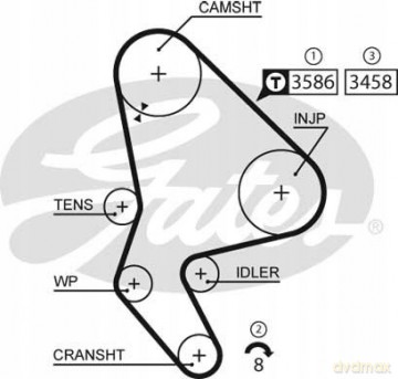 Gates 5524XS Pasek rozrządu Peugeot Fiat Citroen Lancia