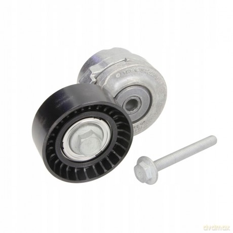 INA 534 0101 20 Napinacz paska klinowego wielorowkowego Fiat Lancia Alfa Romeo