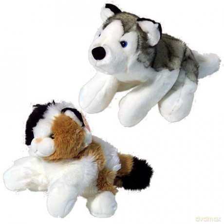 ROXI Zabawka Pluszowa 38 cm Hasky, Kot 95936 [ZABAWKA]