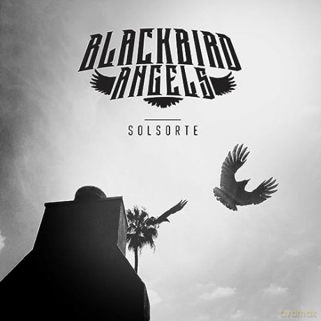 Blackbird Angels: Solsorte [CD]