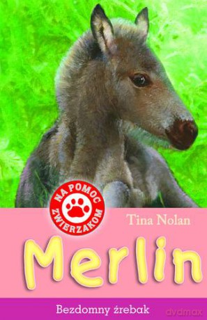 Na Pomoc Zwierzakom Merlin Bezdomny Źrebak - Tina Nolan [KSIĄŻKA]
