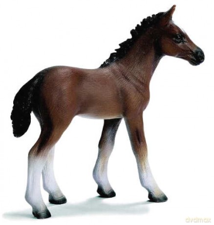SCHLEICH ŹREBAK 13277 [ZABAWKA]