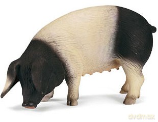 SCHLEICH WIEPRZ CZARNOBIAŁY 13612 [ZABAWKA]