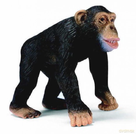 SCHLEICH SZYMPANS,SAMIEC 14189 [ZABAWKA]