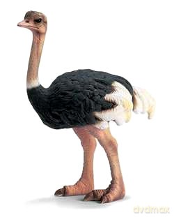 SCHLEICH STRUŚ 14325 [ZABAWKA]