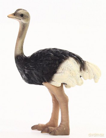 SCHLEICH STRUŚ 14325 [ZABAWKA]