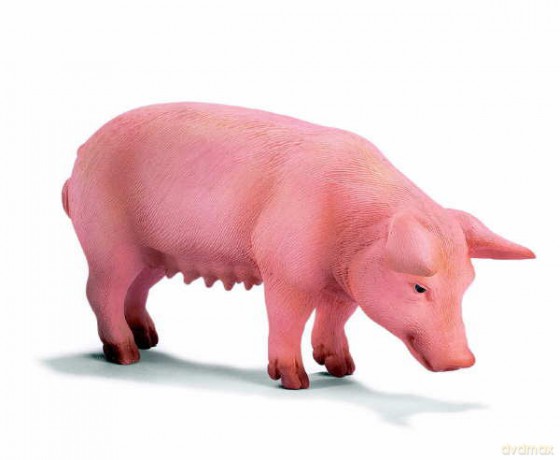 SCHLEICH STOJĄCA MACIORA 13288 [ZABAWKA]
