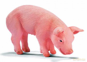 SCHLEICH JEDZĄCE PROSIE 13290 [ZABAWKA]