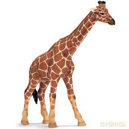 SCHLEICH ŻYRAFA 14320 [ZABAWKA]