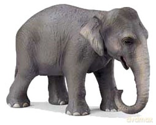 SCHLEICH SŁOŃ INDYJSKI,SAMICA 14344 [ZABAWKA]