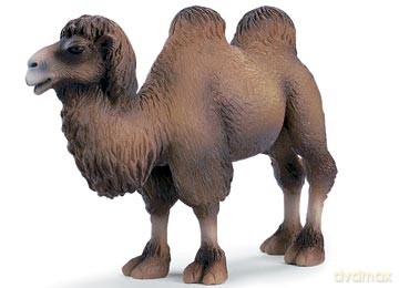 SCHLEICH WIELBŁĄD DWUGARBNY 14348 [ZABAWKA]