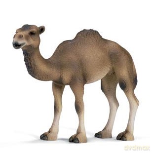 SCHLEICH DROMADER KLACZ 14355 [ZABAWKA]